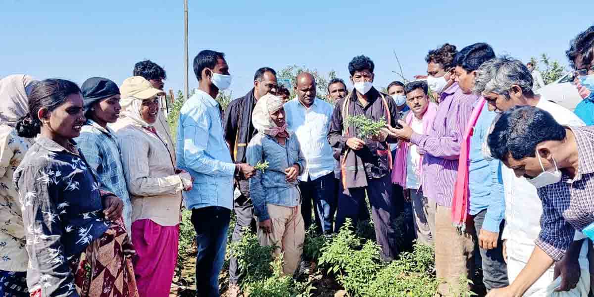 తండాలను గ్రామ పంచాయతీలుగా మార్చిన ఘనత సీఎం కేసీఆర్‌దే