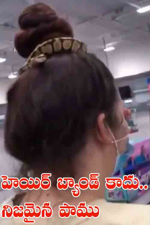 Viral Video | హెయిర్ బ్యాండ్‌కు బ‌దులు పామును ముడేసుకుంది..