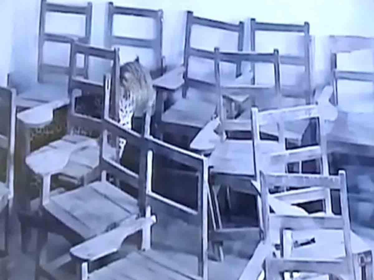 తరగతి గదిలోకి పులి.. విద్యార్థిపై దాడి