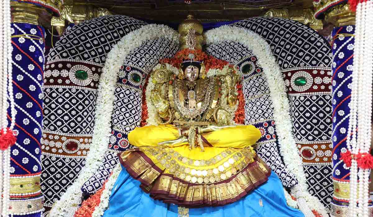 ముత్యపుపందిరి వాహనంపై అలివేలు మంగమ్మ