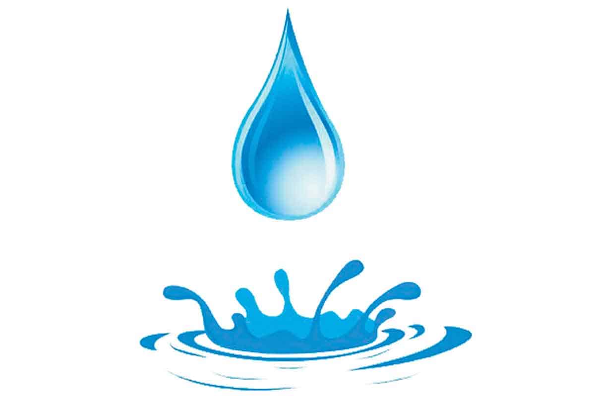 చలనశీలత