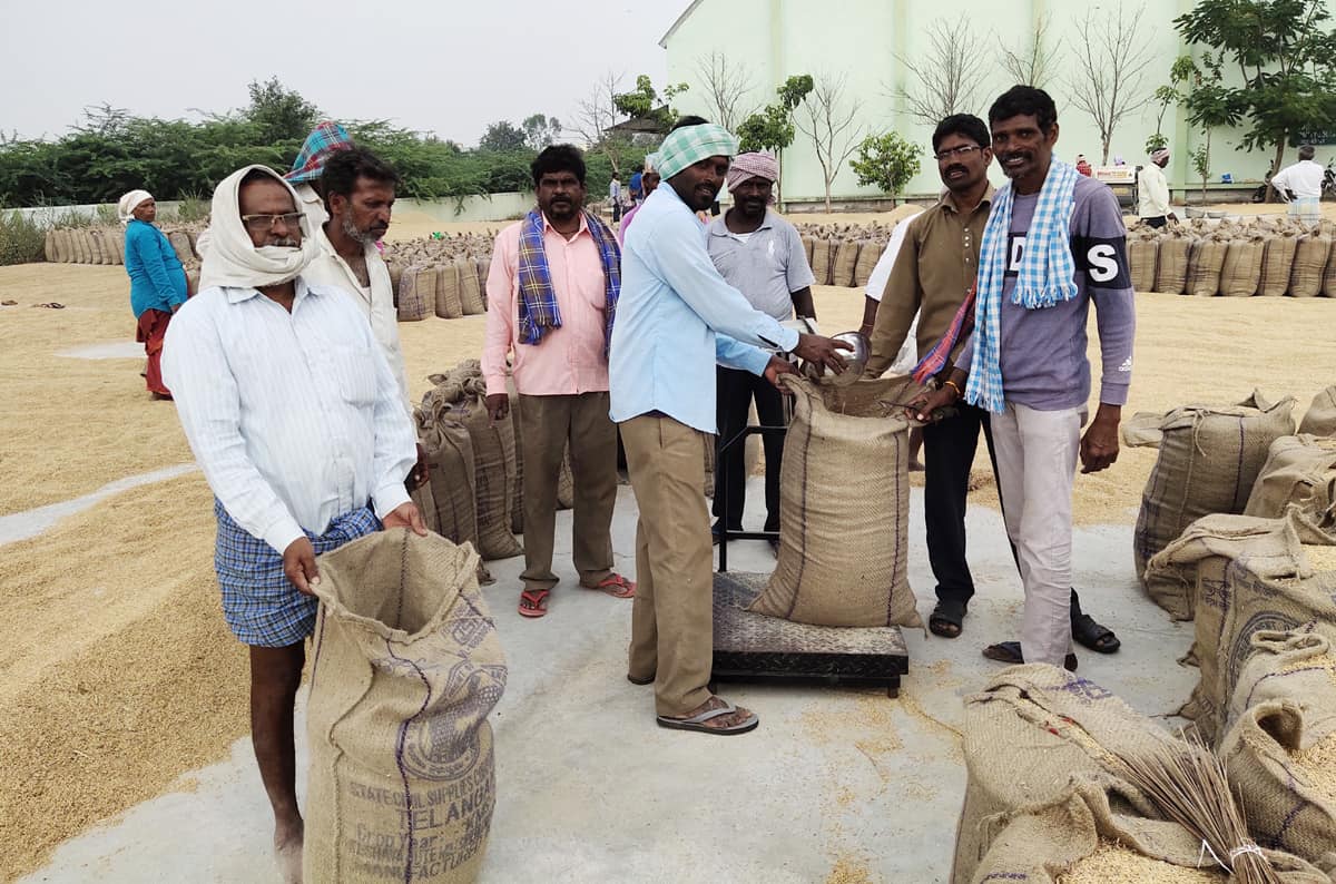 37 లక్షల టన్నుల ధాన్యం సేకరణ