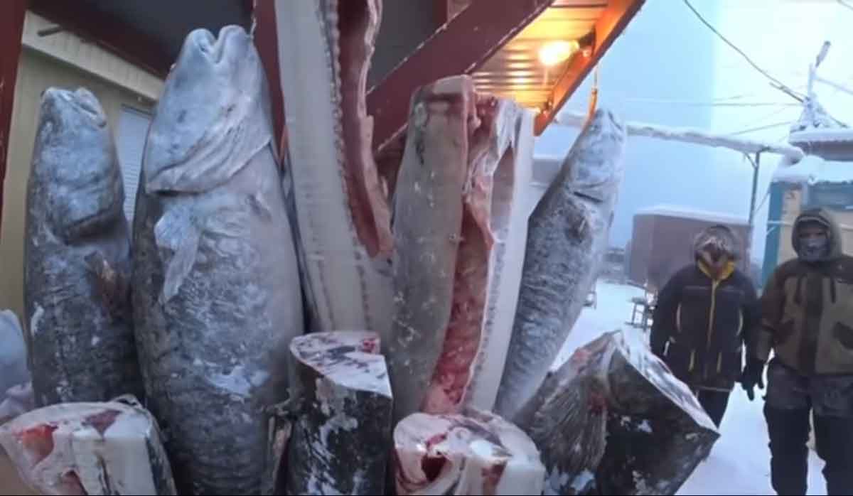 ప్ర‌పంచంలోనే అత్యంత శీత‌ల ప్రాంతం అది.. అక్క‌డి ప్ర‌జ‌లు గ‌డ్డ‌క‌ట్టే చ‌లిని ఎలా త‌ట్టుకుంటారో తెలుసా?.. వీడియో