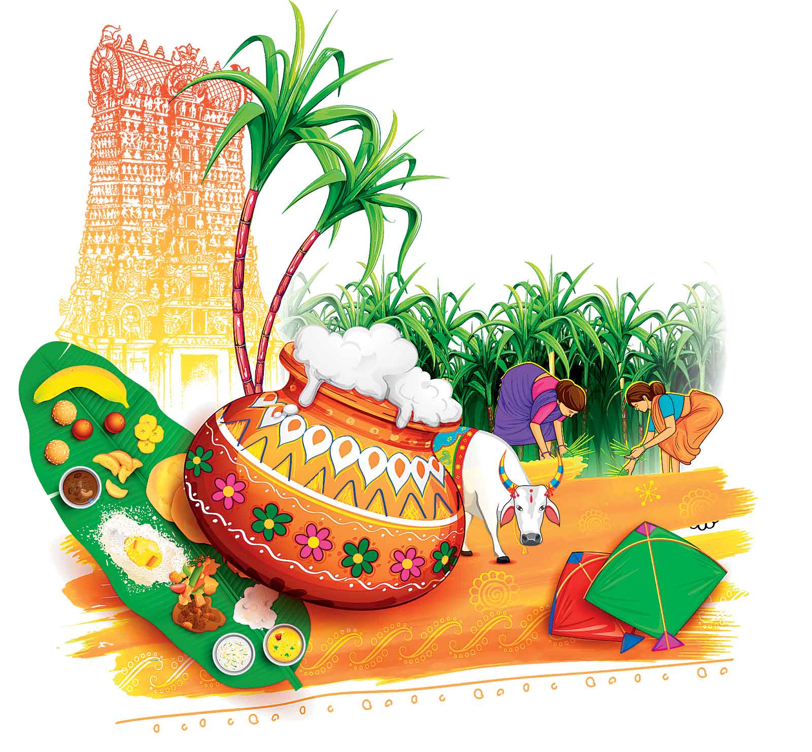 సంబురాల సంక్రాంతి