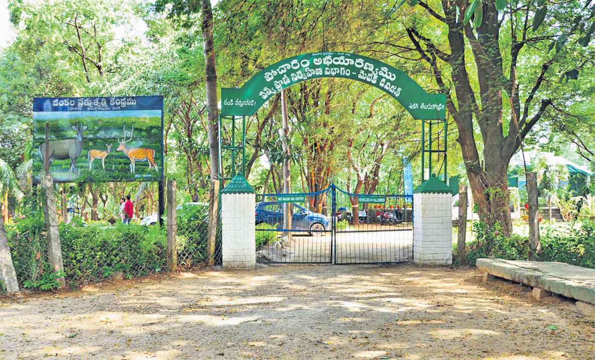 విదేశీ అతిథులొచ్చారు…!