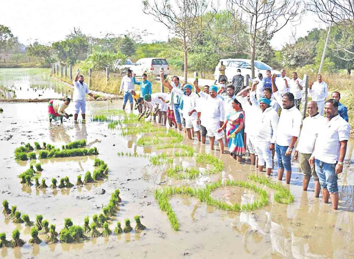 రైతు‘బంధు’లకు పండుగ