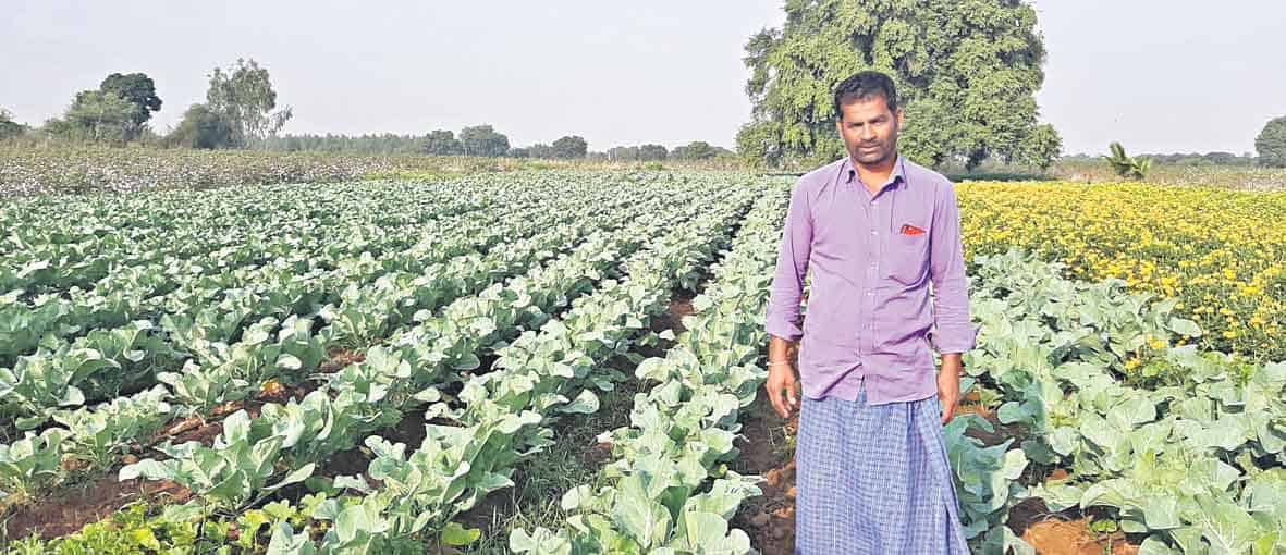 రైతన్న సంబురం