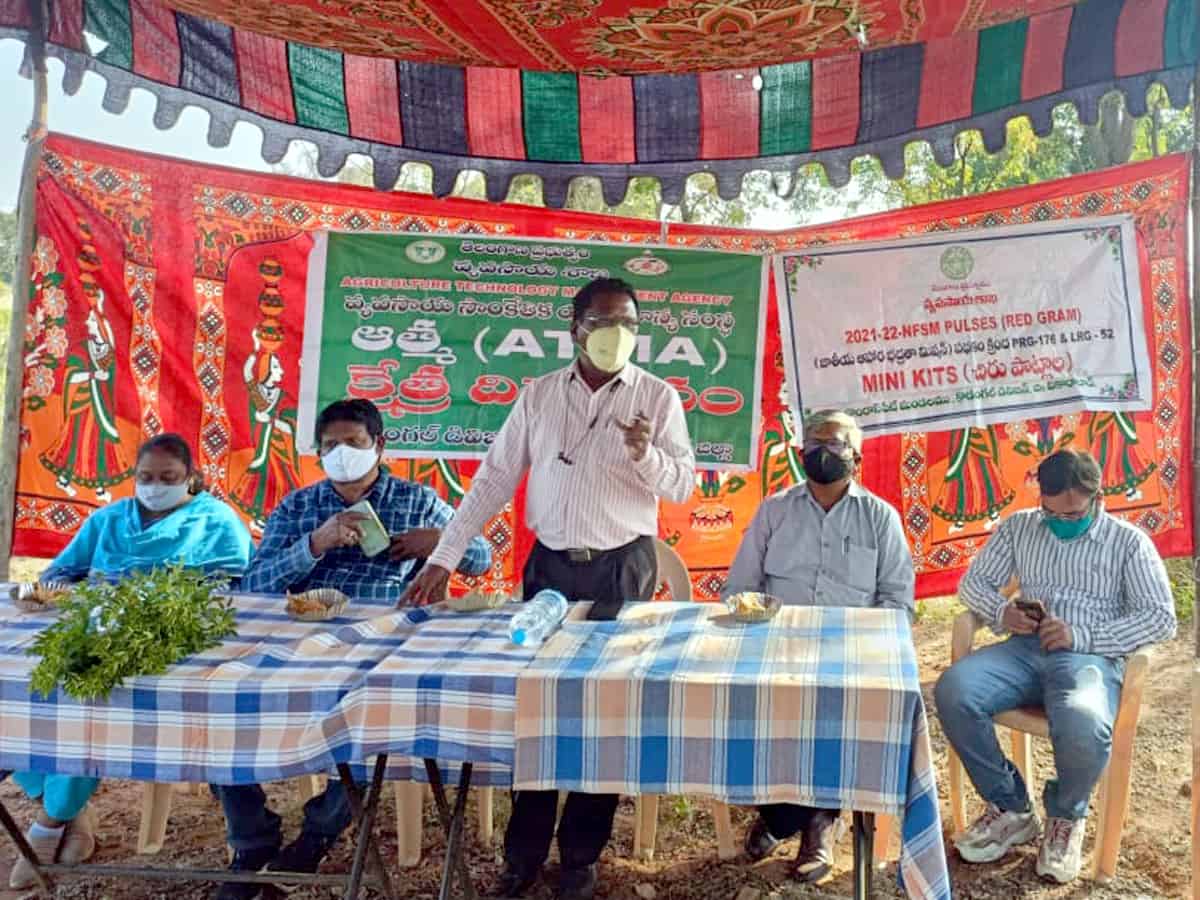 Agriculture : జంట సాలు పద్ధతితో అధిక దిగుబడి.. జిల్లా వ్యవసాయాధికారి గోపాల్‌