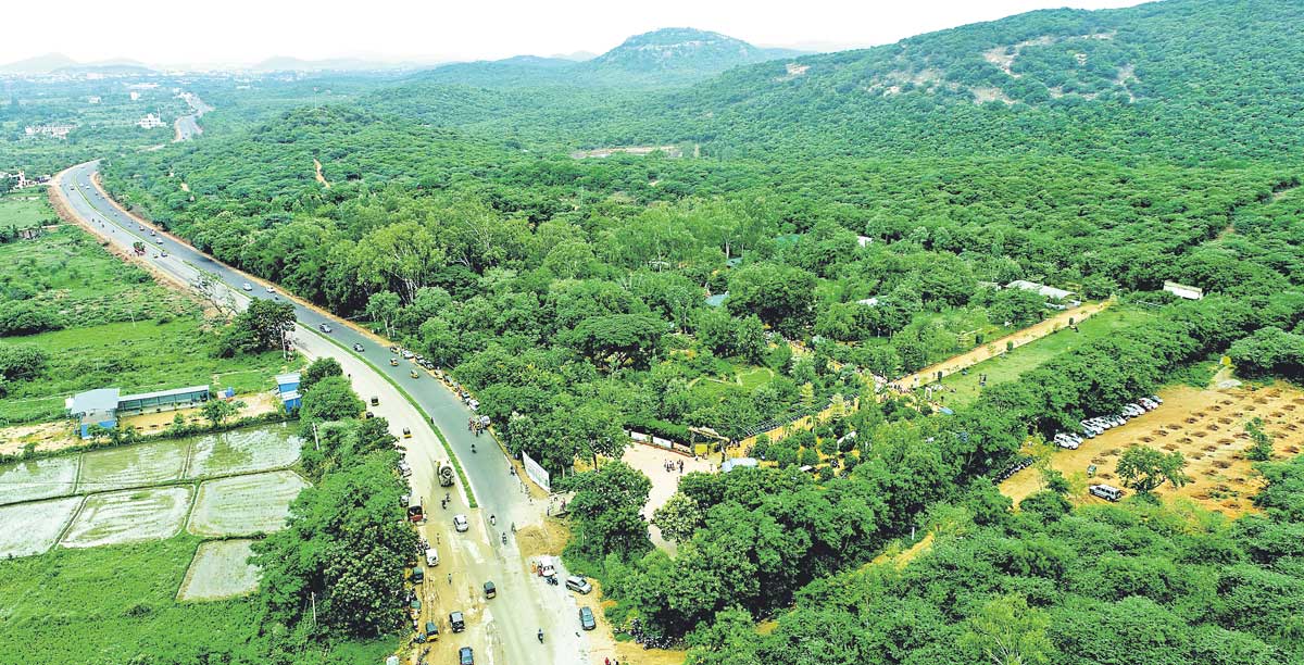 హరితహారంతో సిద్ధించిన లక్ష్యం