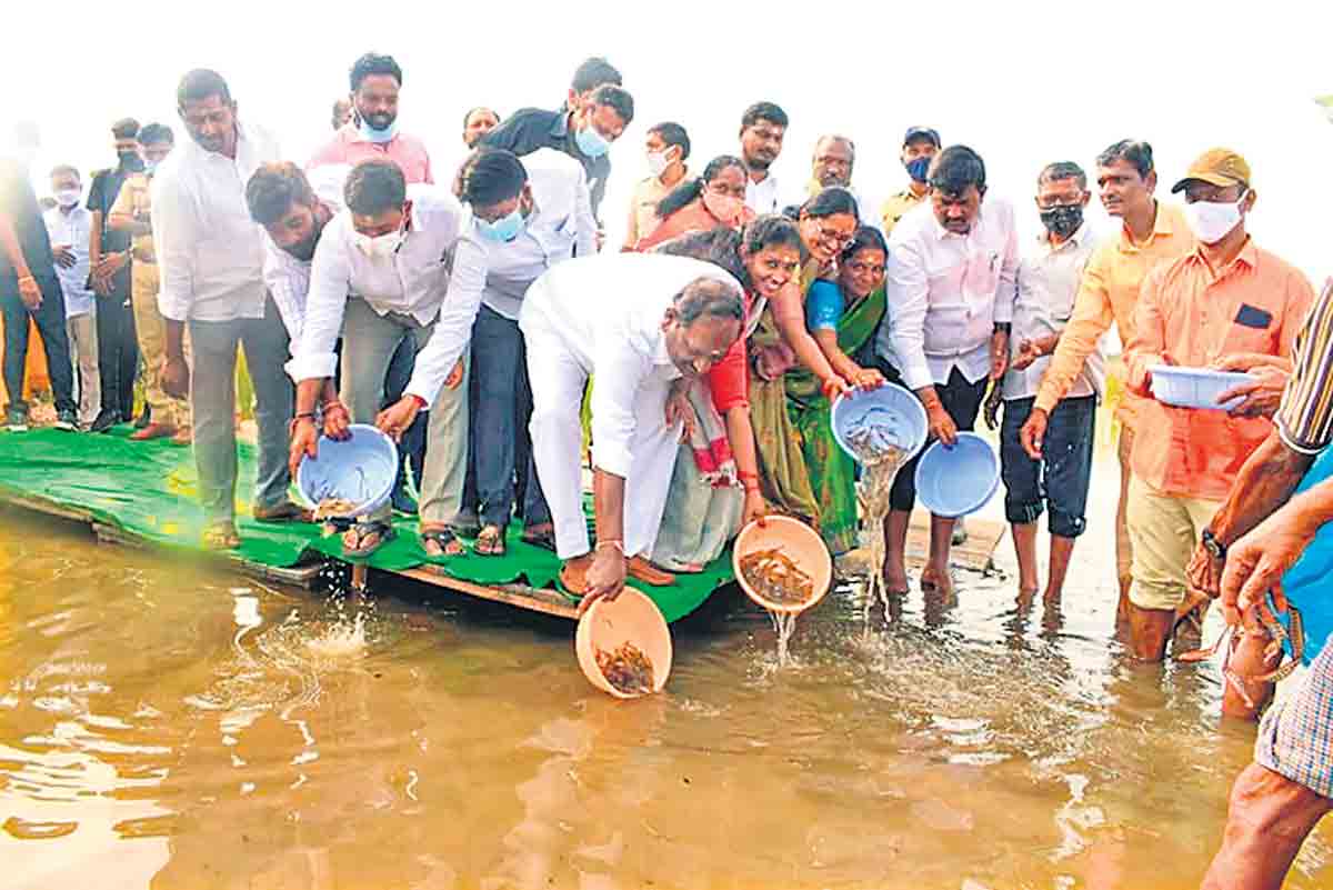 ఫిష్హబ్గా తెలంగాణ