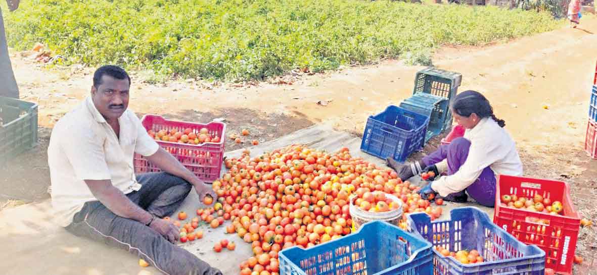 ఫసల్‌ ఫసల్‌కు పైసలు