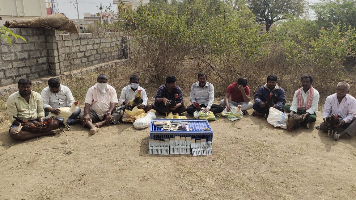 Ibrahimpatnam : కోడిపందాల నిర్వాహకులపై పోలీసుల దాడి.. 10మంది అరెస్టు…