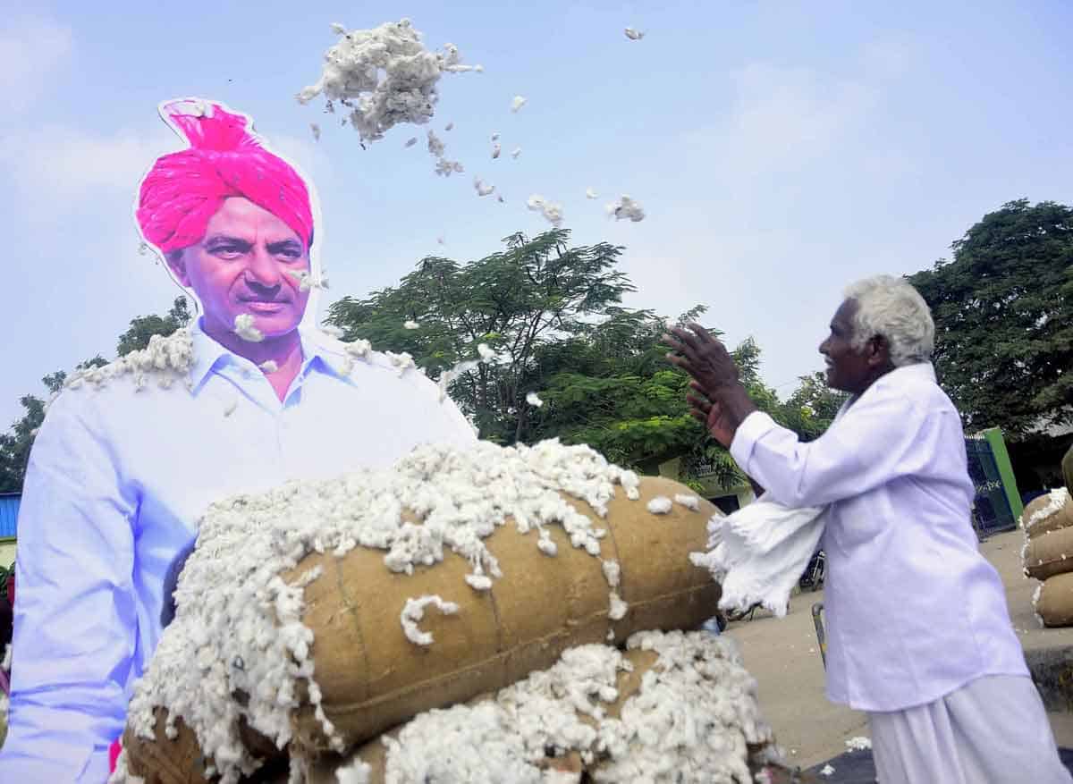 రైతు మురిసె