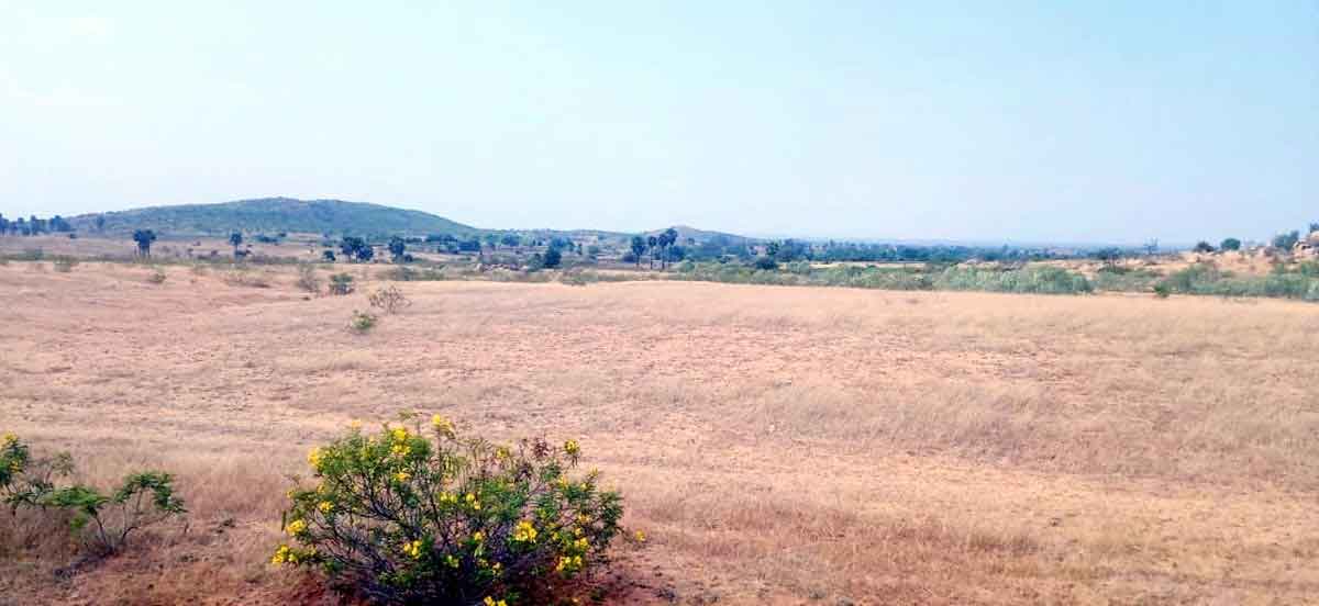 గట్టుకు గ్రీన్‌సిగ్నల్‌