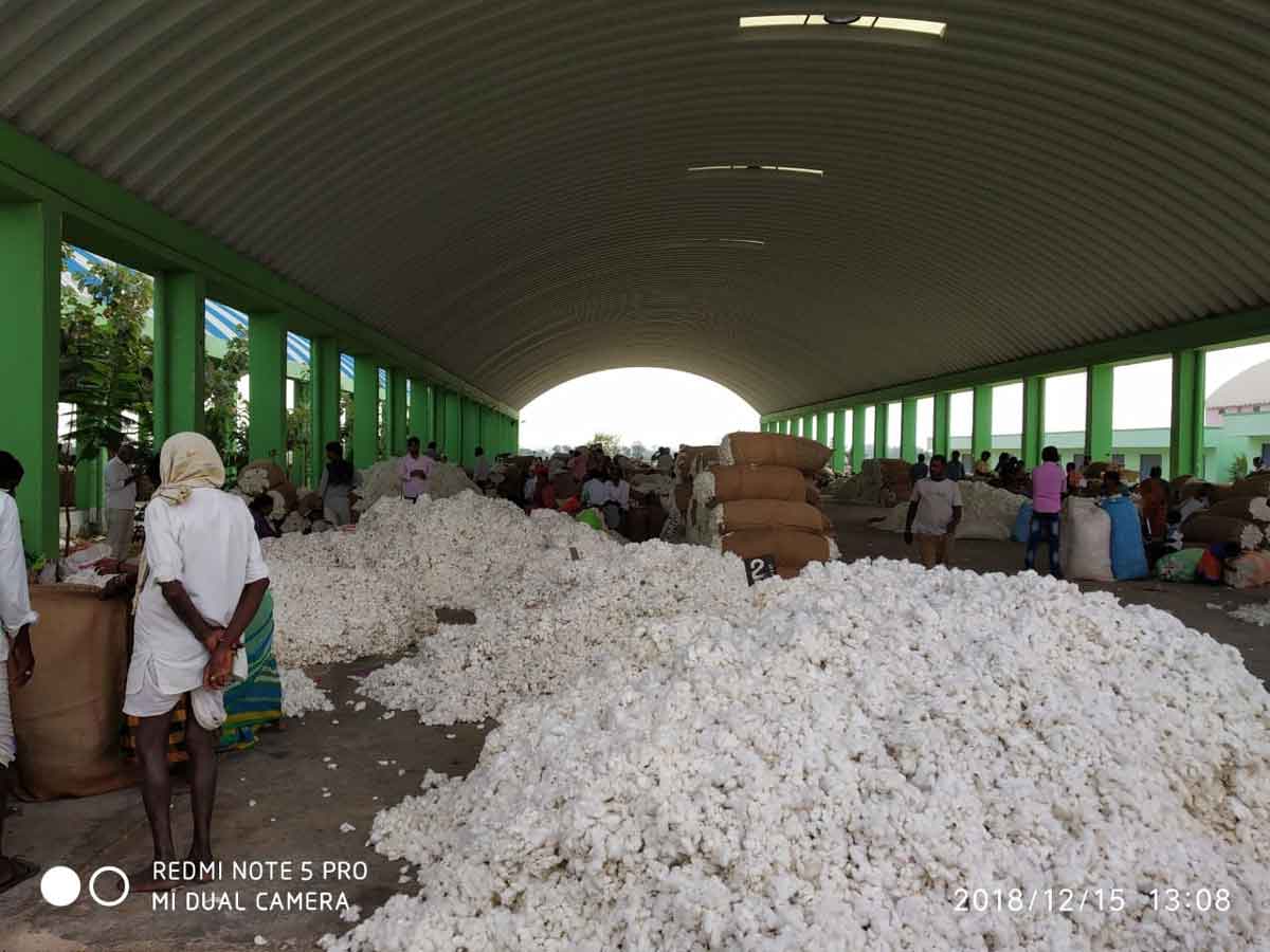 క్వింటా పత్తి @ 9,600