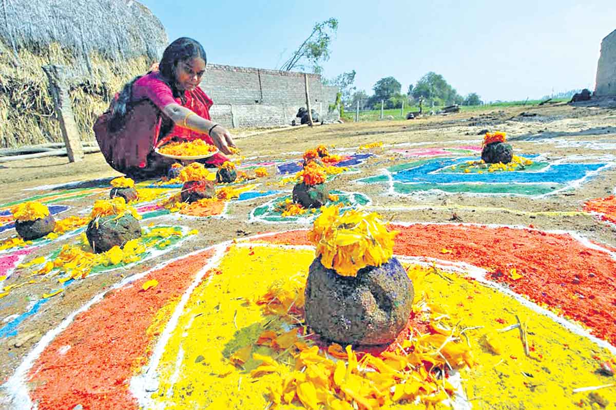 పల్లెలకు సంక్రాంతి శోభ