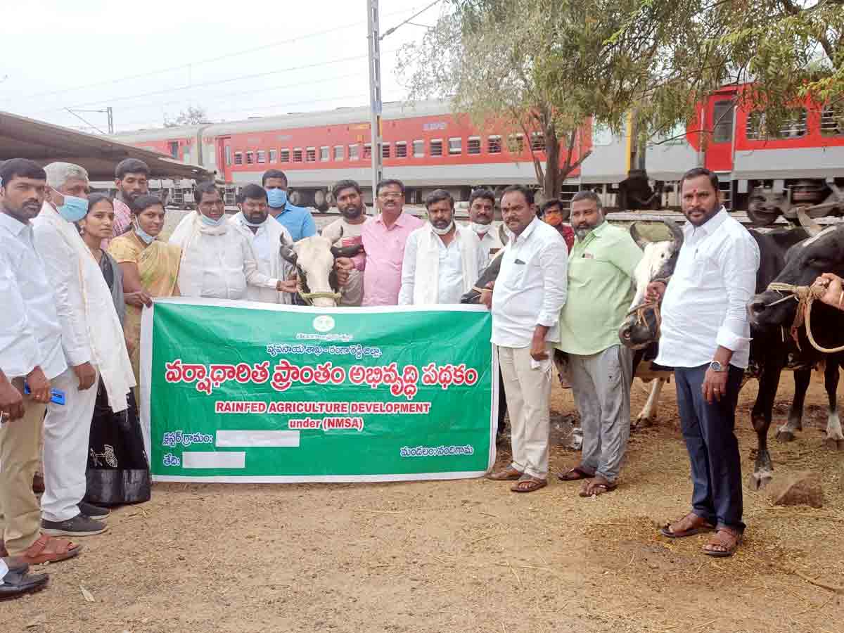 Dairy Forms : పాడి రైతులు అభివృద్ధికి ప్రభుత్వం కృషి..