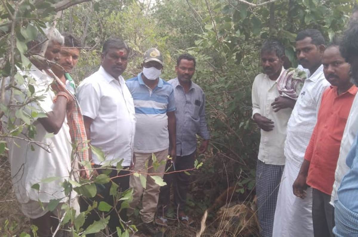 Leopard attack | లేగ దూడపై దాడి చేసిన చిరుత‌..భ‌యాందోళ‌న‌లో గ్రామ‌స్తులు
