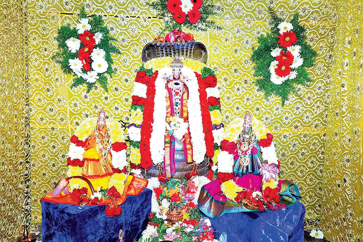 ముక్కోటి వైభవం