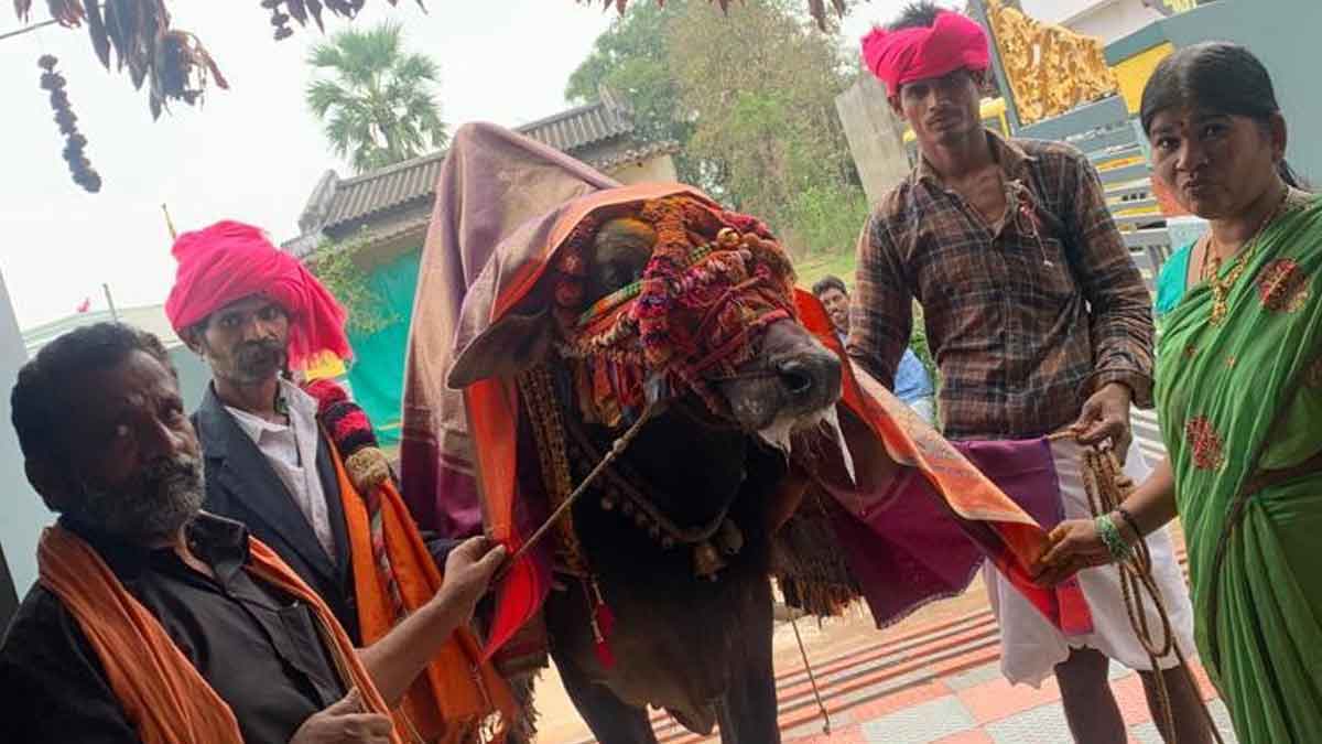 వాడవాడలా భోగి వేడుకలు