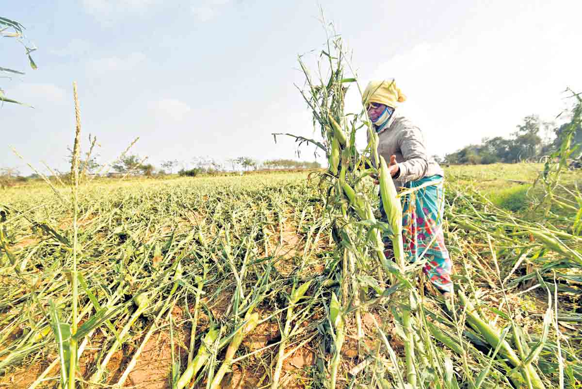 ఫసల్‌ బీమాతో కంపెనీలకే 400 కోట్లు లాభం
