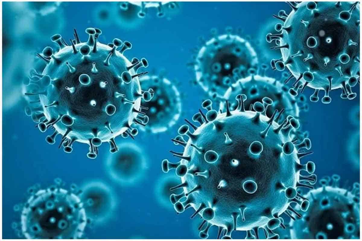 తూర్పు గోదావరి జిల్లా యానంలో రాత్రి వేళల్లో కర్ఫ్యూ..