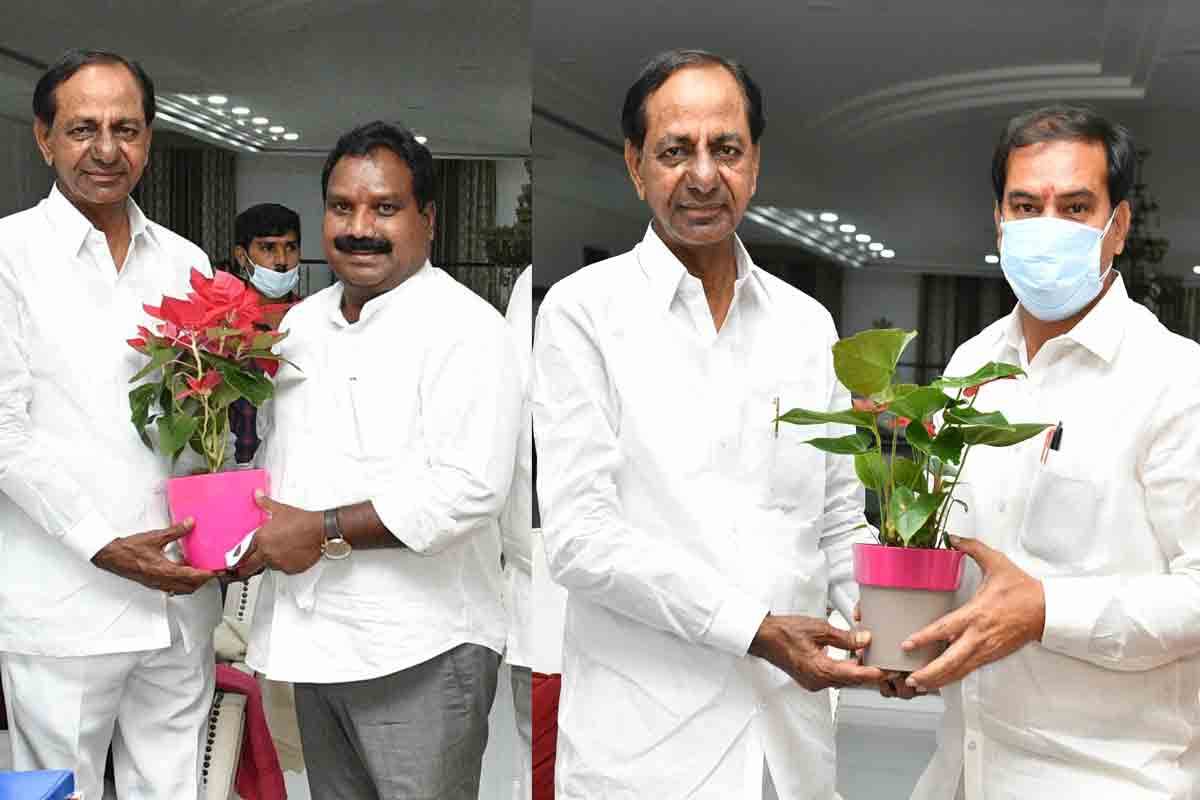 జిల్లా సారథులు