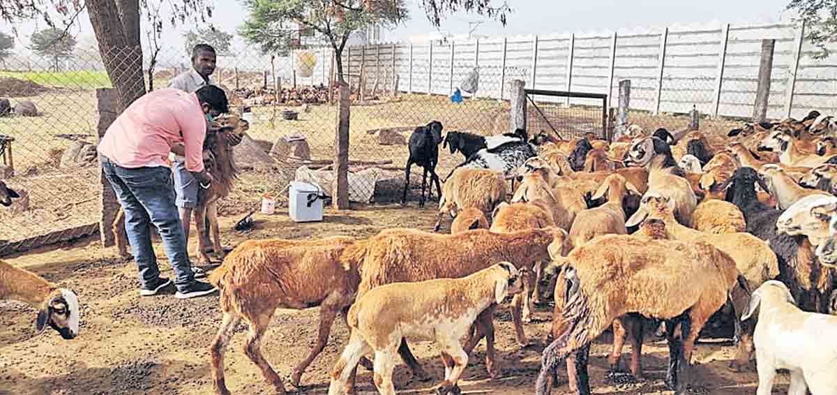 సీజనల్ వ్యాధులపై అప్రమత్తంగా ఉండాలి