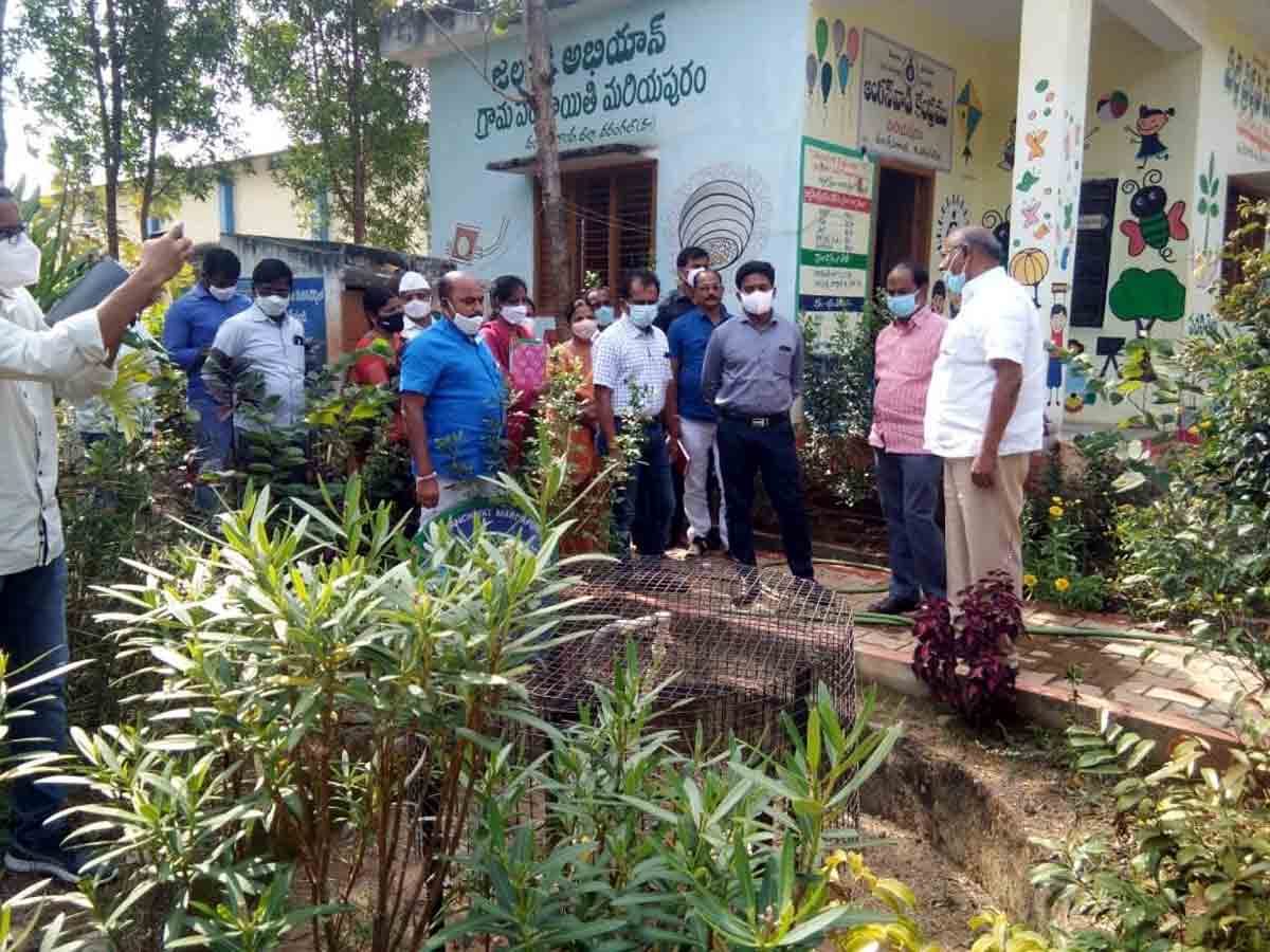 పచ్చదనం, పరిశుభ్రతపై దృష్టి పెట్టాలి