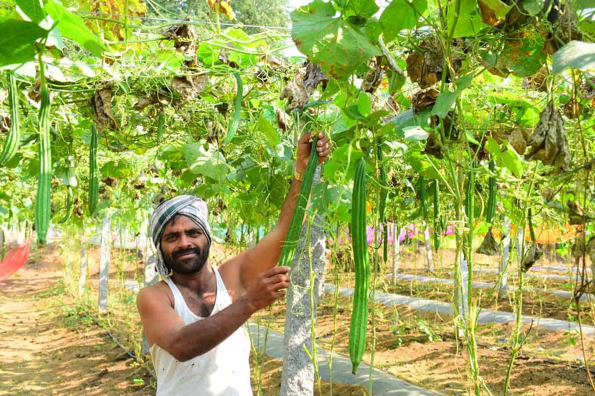సాయం అందె.. రైతు మురిసె