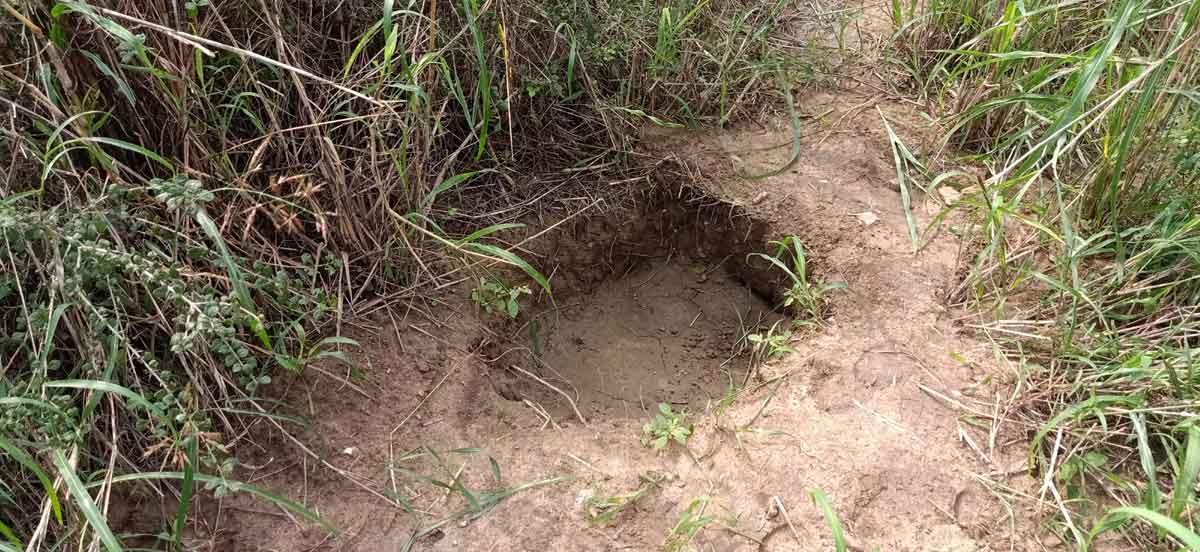 వాడపల్లిలో గుప్త నిధుల వేట!