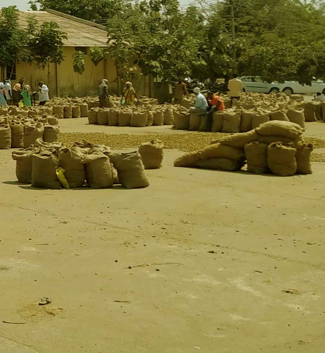 నిజామాబాద్‌ మార్కెట్‌ యార్డుకు భారీగా పసుపు