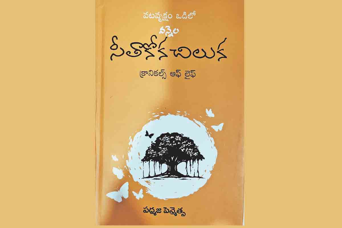 సీతాకోక చిలుక ఫలితం