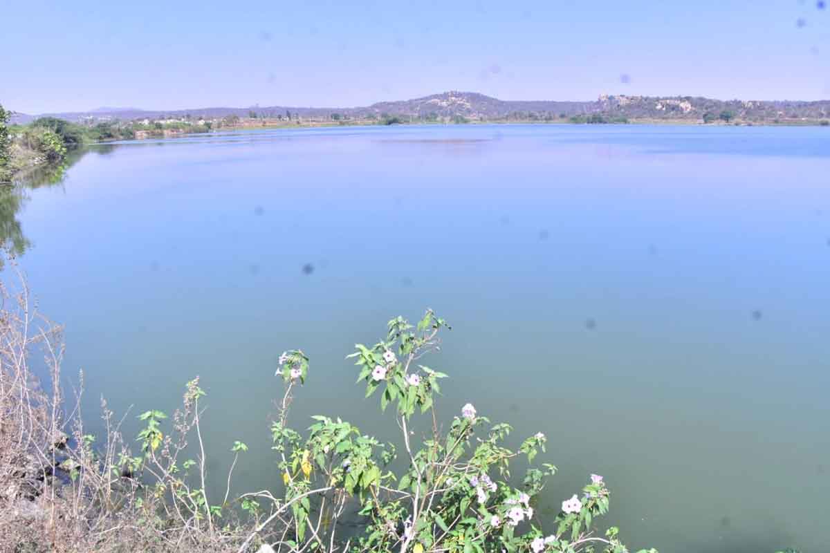 రిజర్వాయర్‌గా బుద్ధారం పెద్ద చెరువు