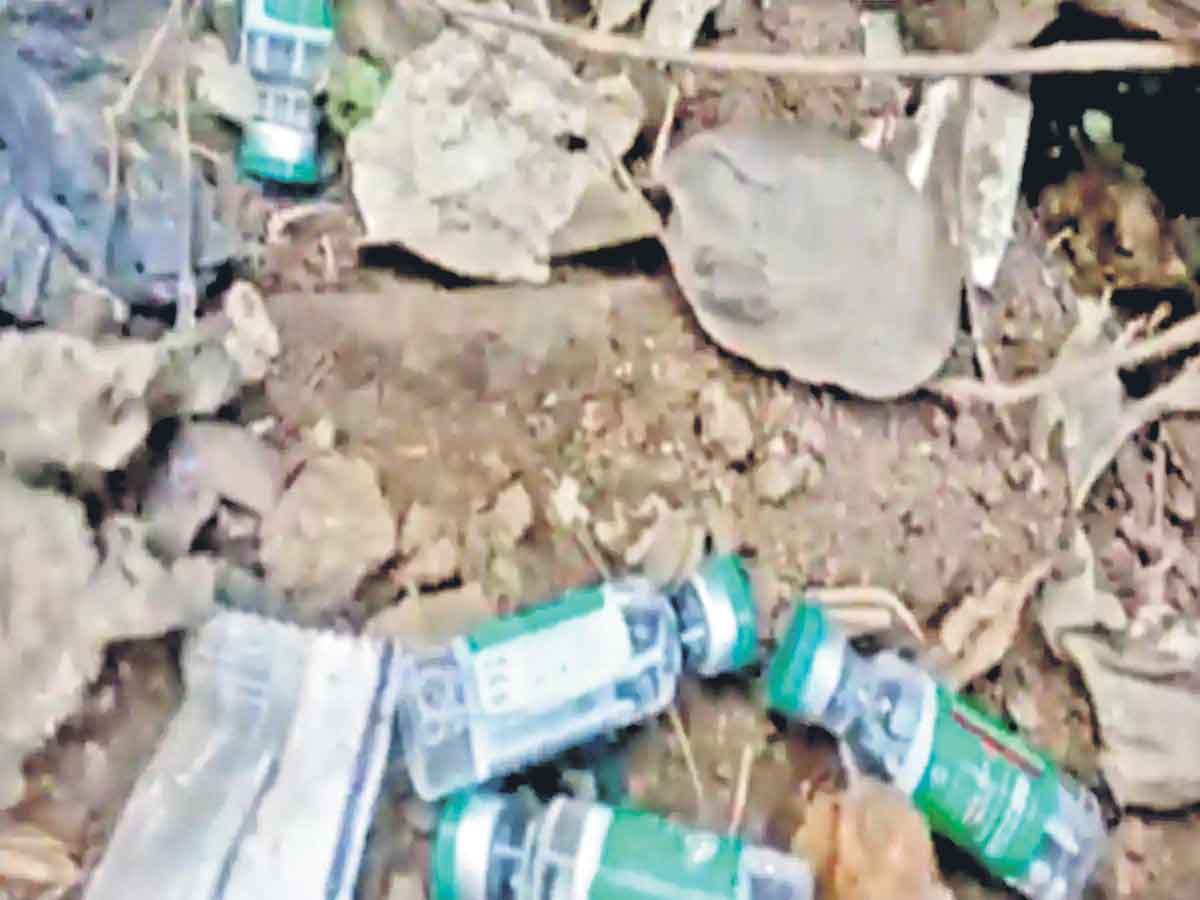 ఎండెమిక్‌ దశకు కరోనా