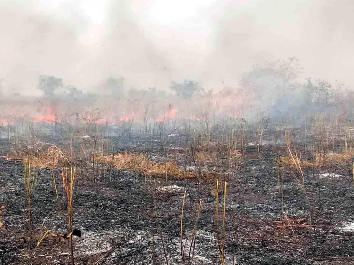 Crime : రెండు లక్షల కంది పంట బూడిదమయం..