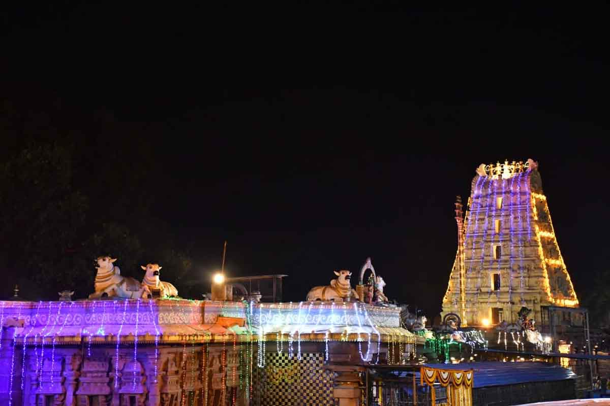 శ్రీగిరిలో కల్యాణ కాంతులు