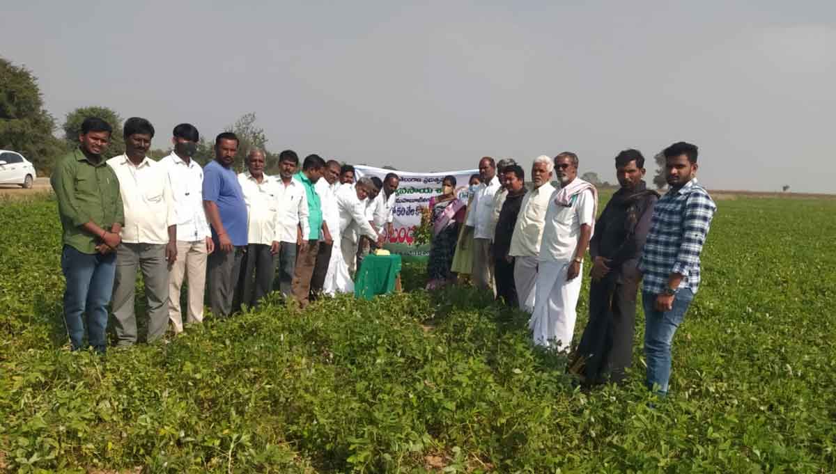 రైతు సంక్షేమానికి పెద్దపీట