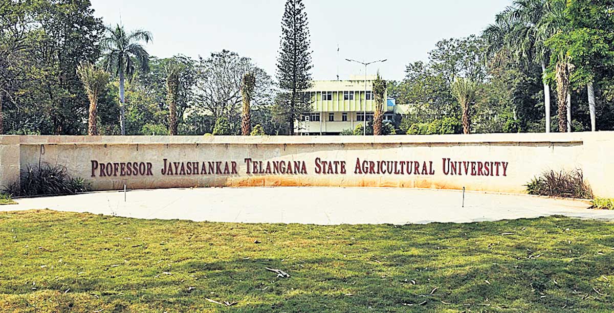 వ్యవసాయ వర్సిటీకి ఏ-గ్రేడ్‌