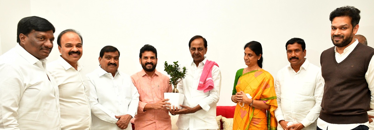 Vikarabad : సీఎం కేసీఆర్‌ను కలిసిన మెతుకు ఆనంద్‌