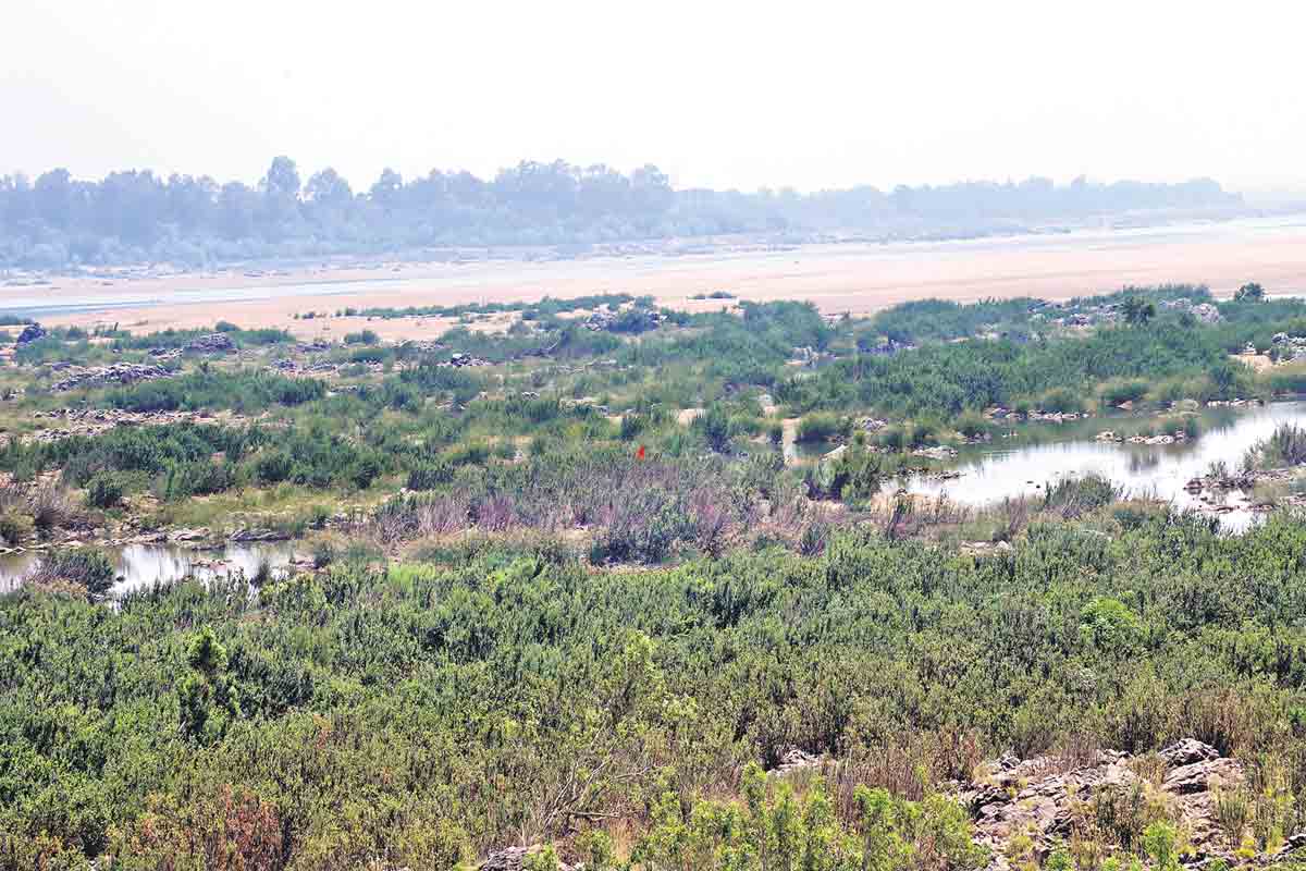 15 నెలల్లో సీతమ్మసాగర్‌