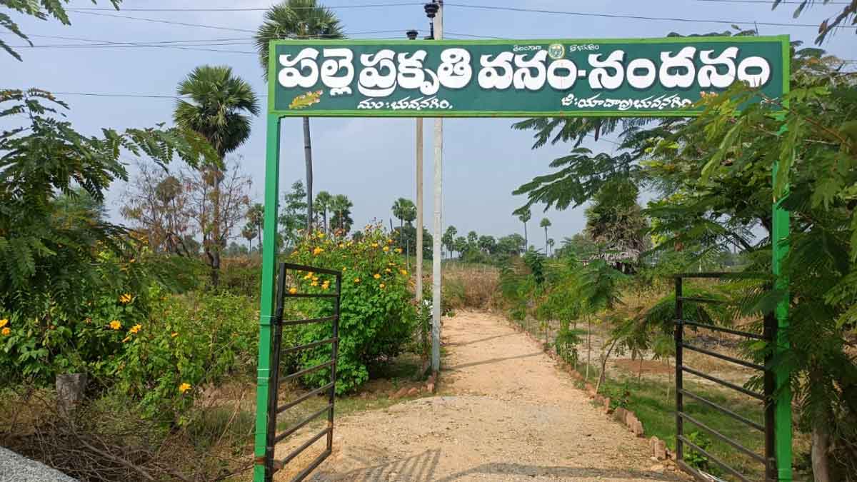 నందనం అభివృద్ధి పథం