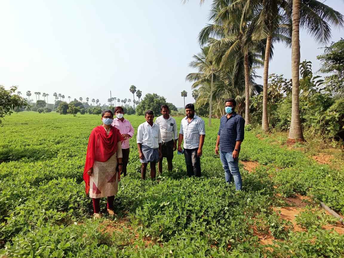 తక్కువ పెట్టుబడి.. ఎక్కువ రాబడి..