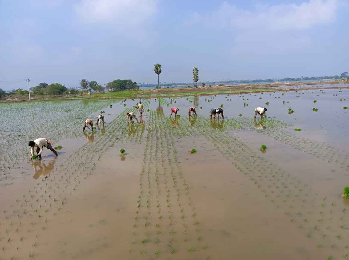 నాటి వలస గడ్డ.. నేటి ఉపాధి అడ్డా..