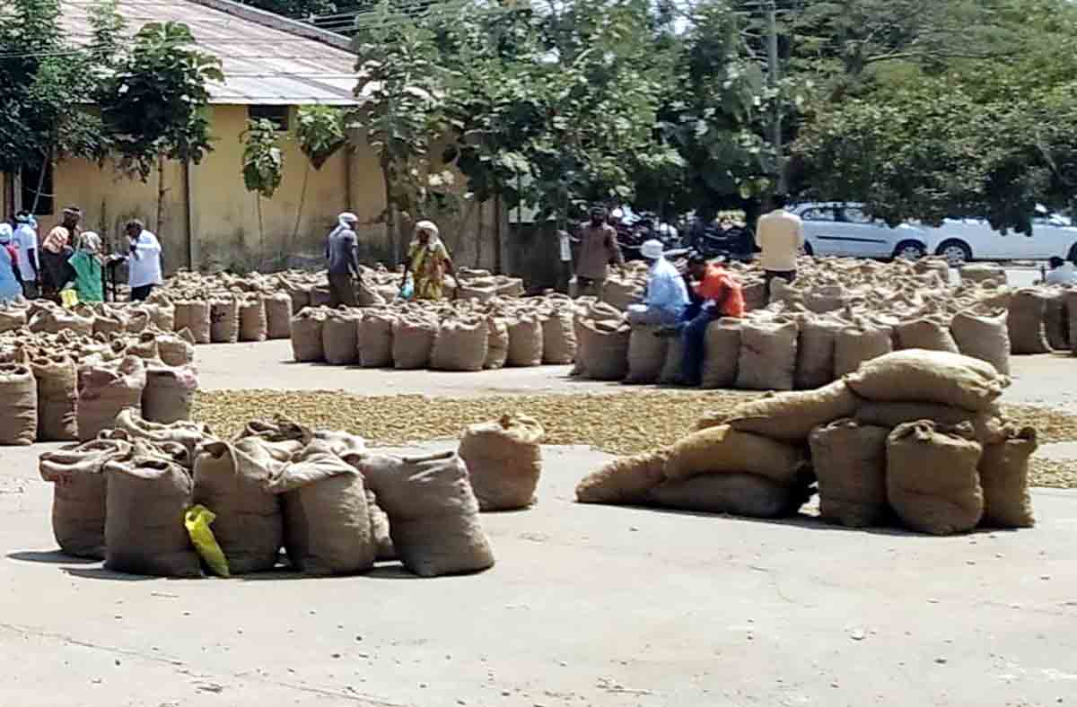 నిజామాబాద్‌ మార్కెట్‌ యార్డుకు భారీగా పసుపు