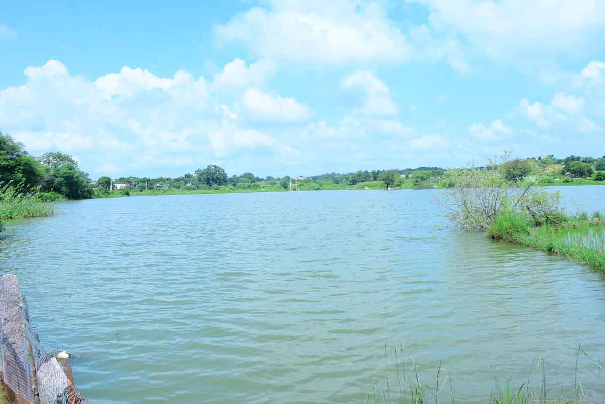 కండ్లు తెరిచి చూడు నడ్డా.. ఇవి కాళేశ్వరం నీళ్లు