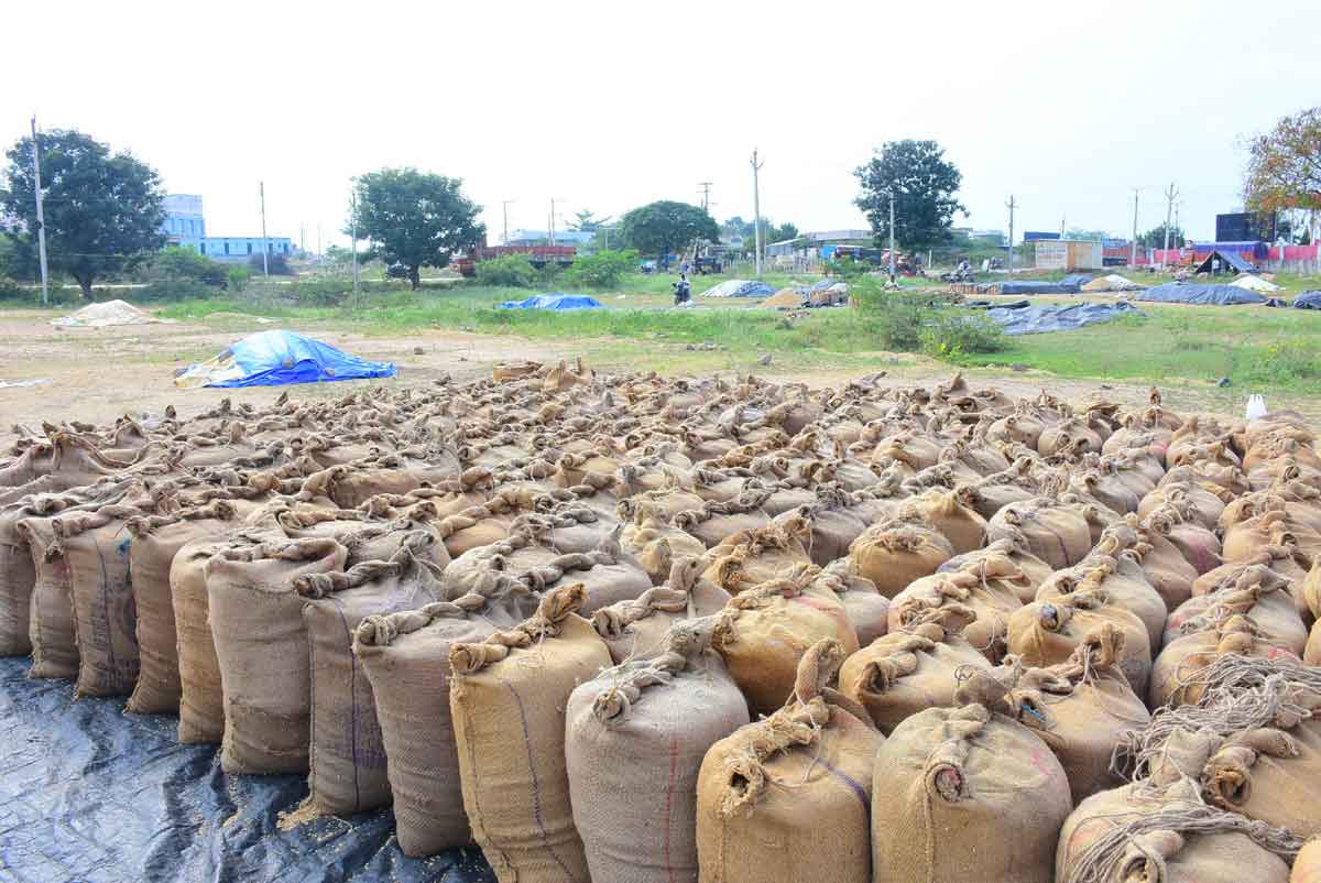 ధాన్యం కొనుగోళ్లు పూర్తి