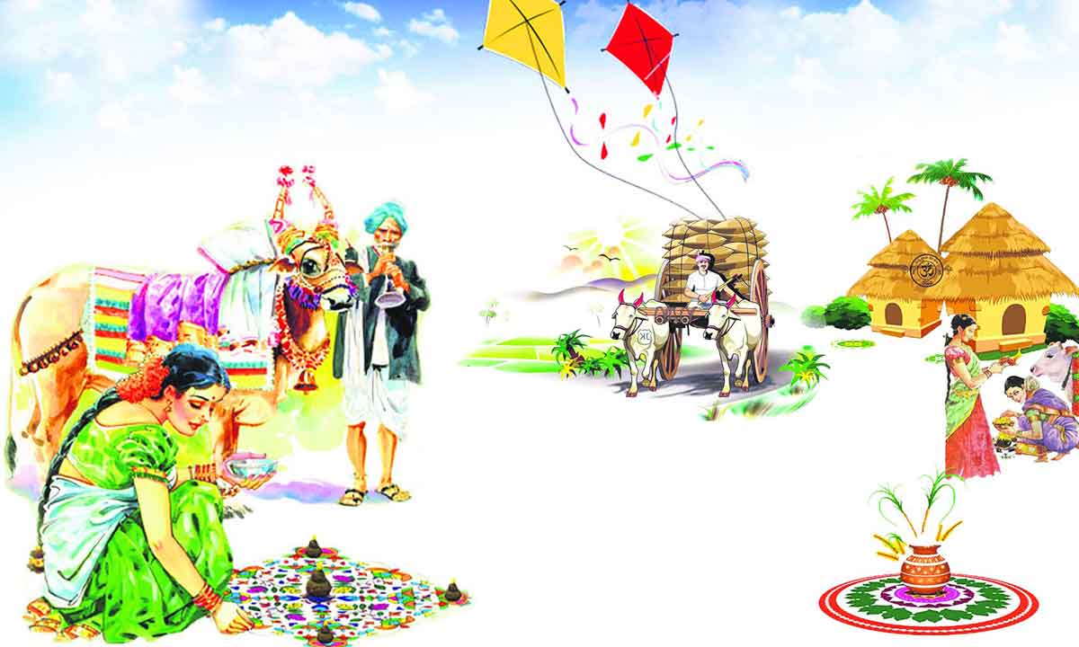 సంక్రాంతి సంబురం