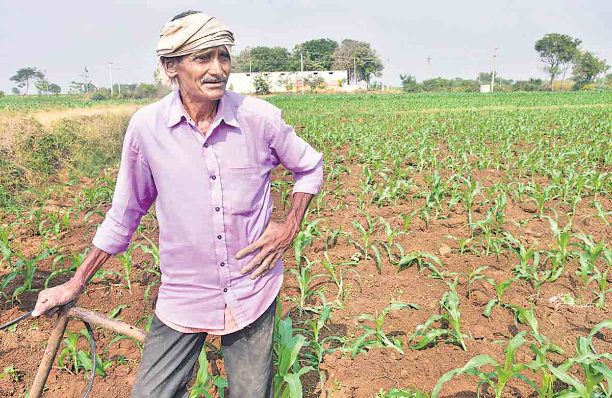 Rythu Bandhu | ప్రపంచానికే ఆదర్శంగా రైతుబంధు పథకం