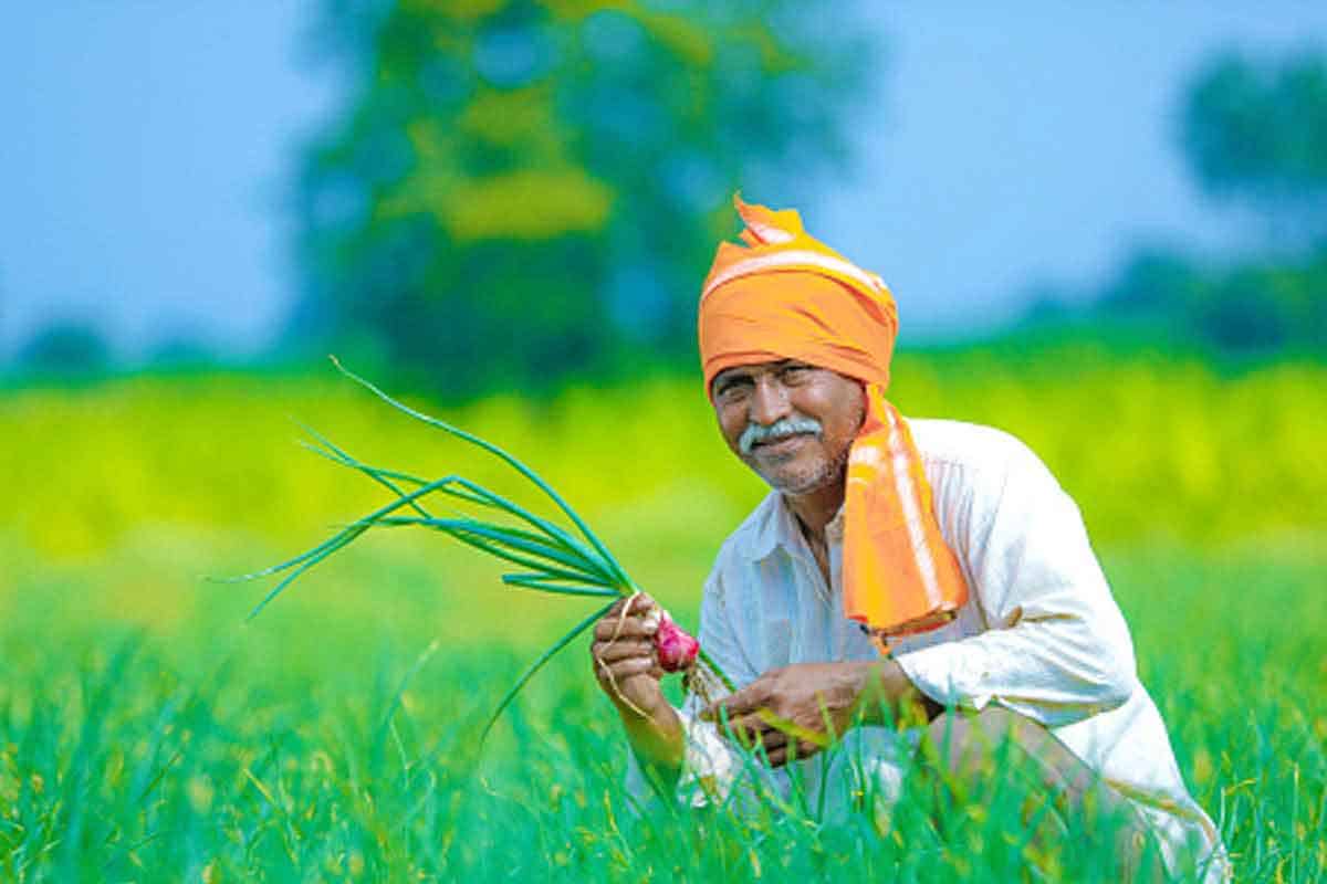 పెట్టుబడి వచ్చింది.. రైతు రంది తీరింది